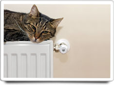 radiators care